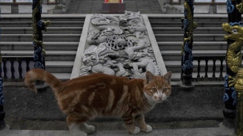 Στιγμιότυπο από την πόλη Ουχάν της Κίνας