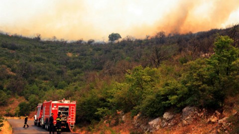 φωτιά στην Αρκαδία πυροσβεστικό