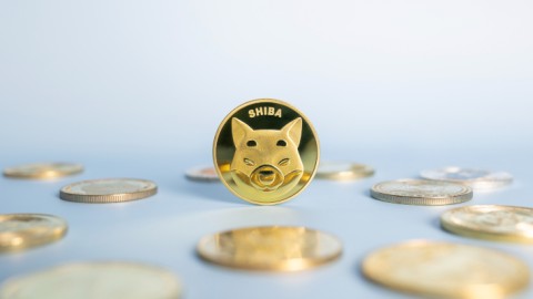 Το Crypto Shiba Inu/Φωτογραφία shutterstock